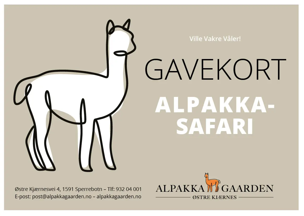 Geschenkgutschein Alpaka-Safari
