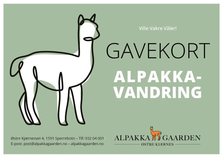 gift voucher for an alpaca walk