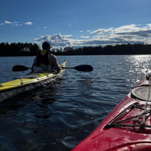 Kajakkutleie alpakkagården